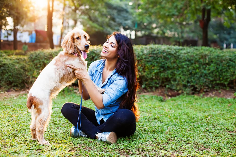 Walk Etiquette for Dogs: 4 Must-Know Commands