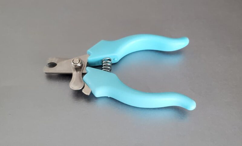 How to Use Dog Nail Clippers | Great Pet Care - How To Use Nail Clippers On Thick Dog Nails
