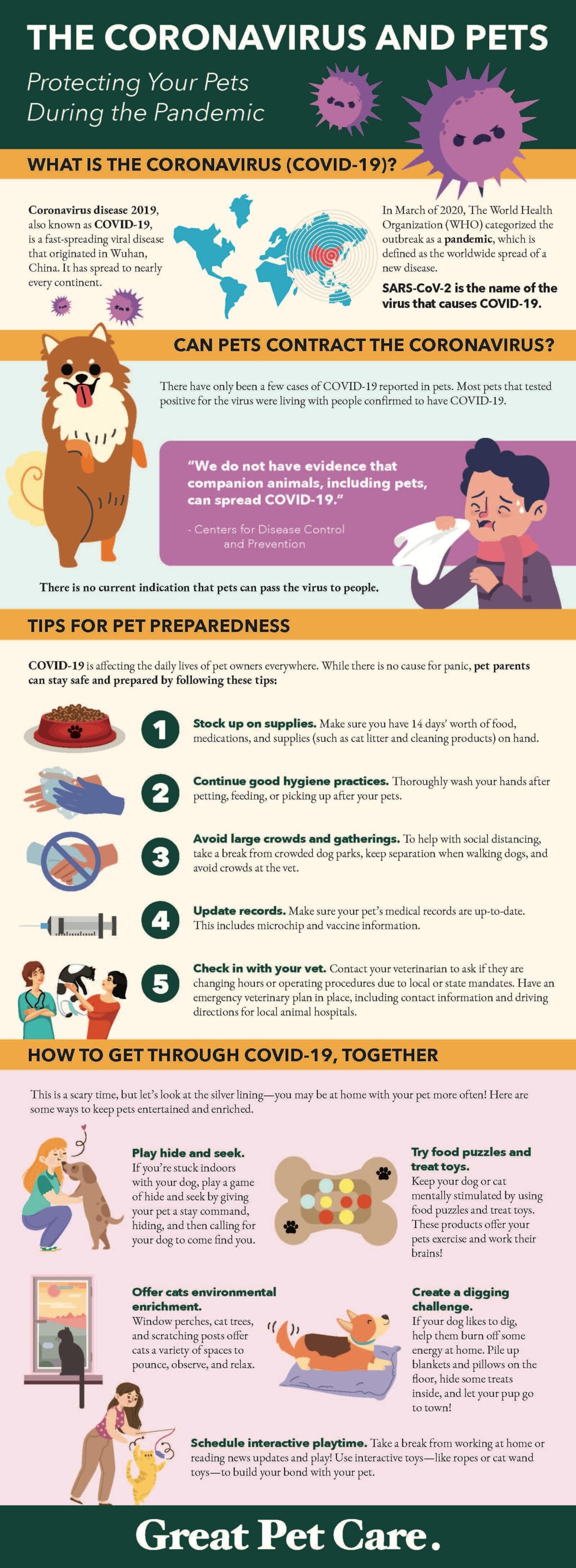 COVID19 Is Your Pet at Risk From the Coronavirus? Great Pet Care