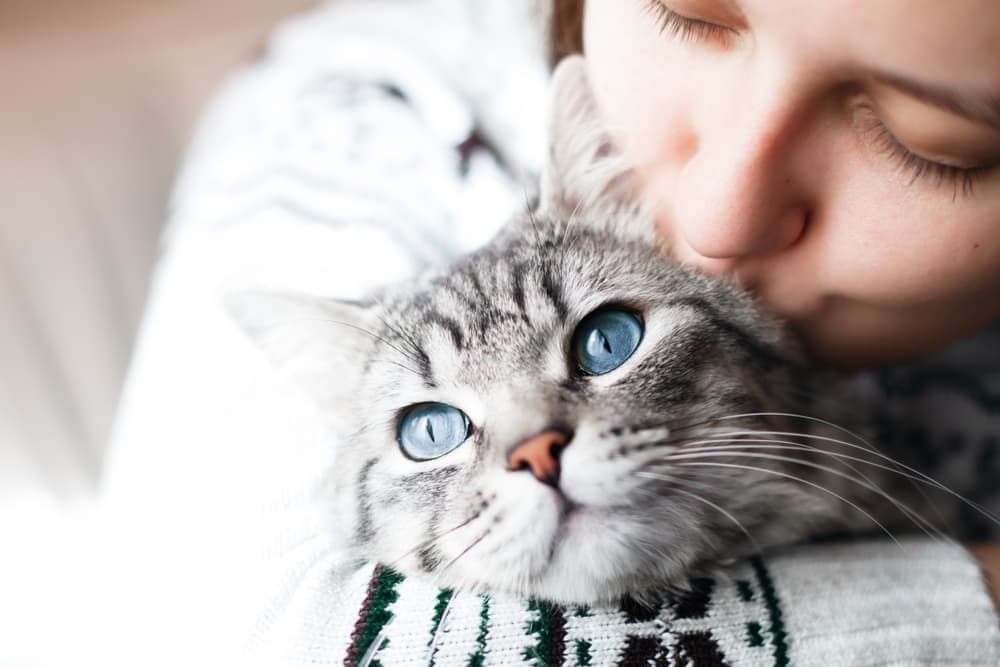 여자 포옹 애완 동물 고양이