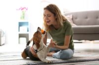 Iraq Rescue Mission Reunites U.S. Service Members With Beloved Pets