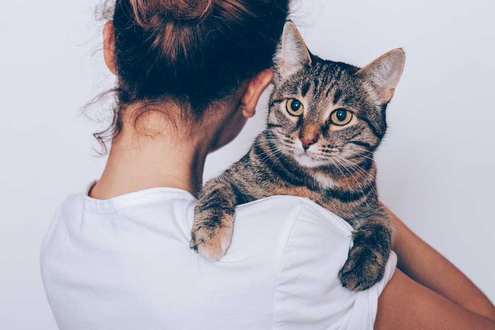 Woman hugging stressed cat