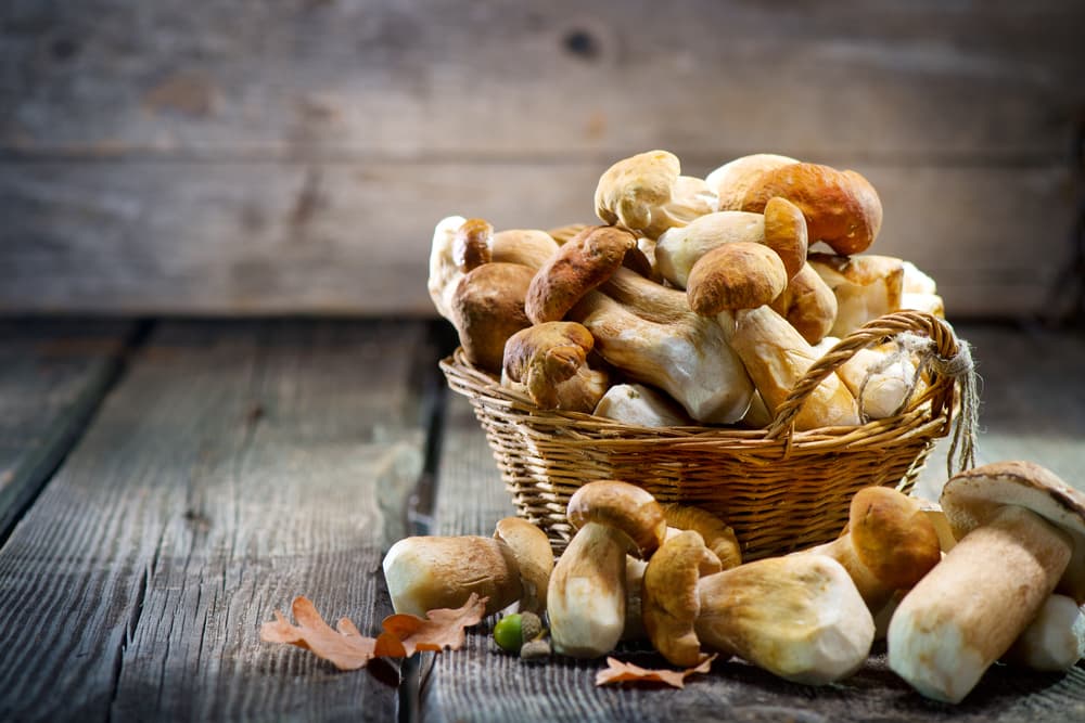 Mushrooms on a table