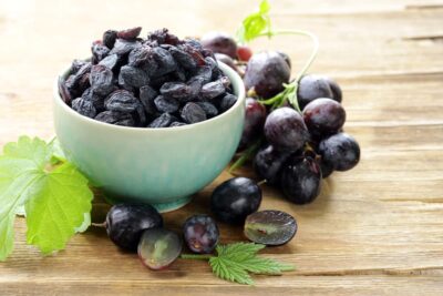 14 Toxic Foods For Dogs | Great Pet Care