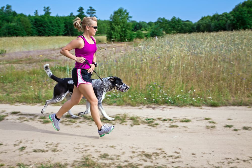 Owner and dog on a run