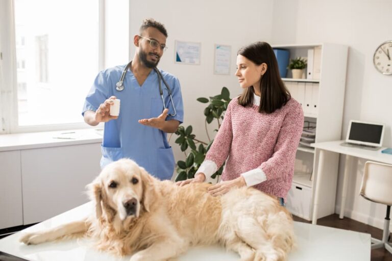 Woman talking to veterinarian about medication