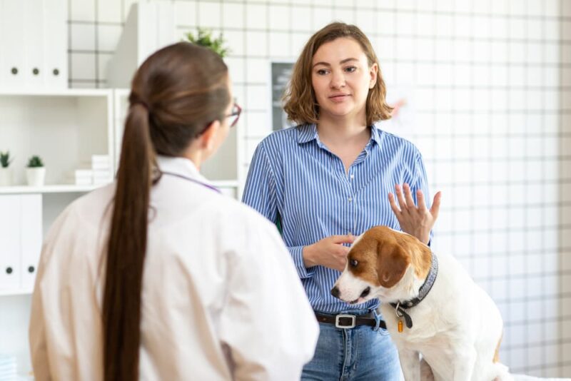 Lyme Vaccine for Dogs Great Pet Care