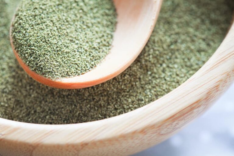 Kelp for Dogs Benefits and Uses Great Pet Care