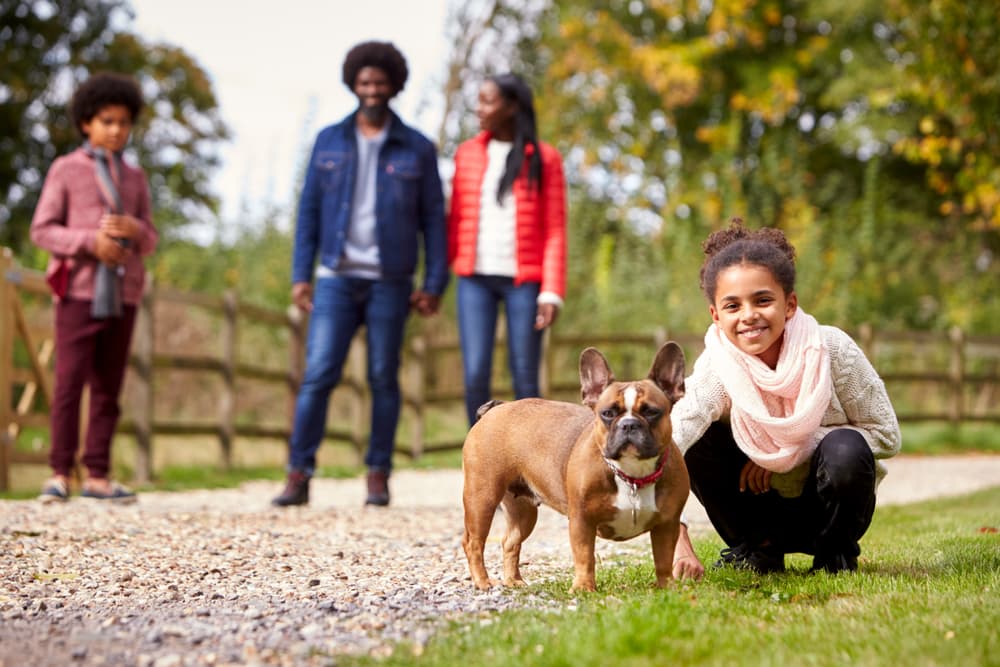 Family walking dog in park