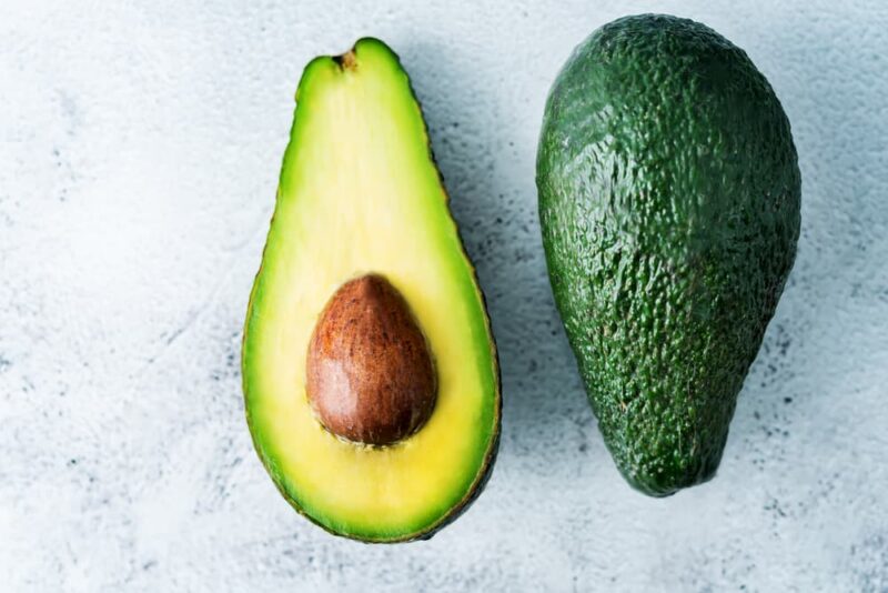Can Cats Eat Avocado? Great Pet Care