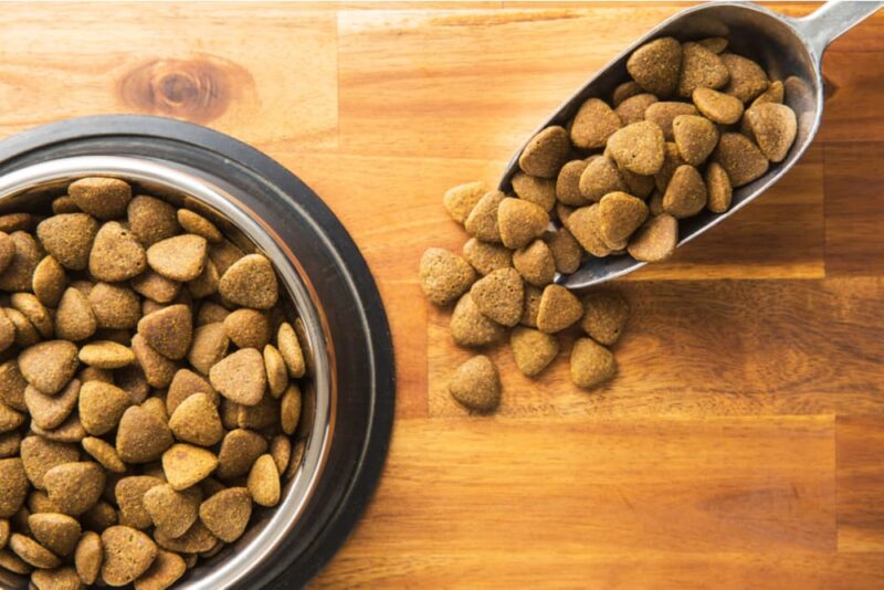 7 Mistakes to Avoid When Storing Dog Food Great Pet Care