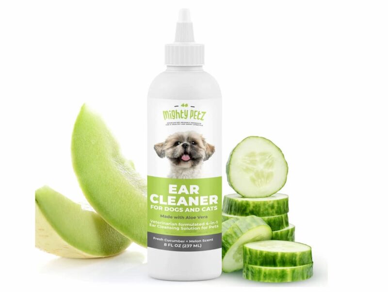 All the Reasons Your Dog’s Ears Smell Great Pet Care