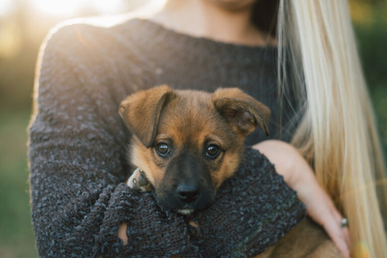 Woman holding a mixed-breed puppy