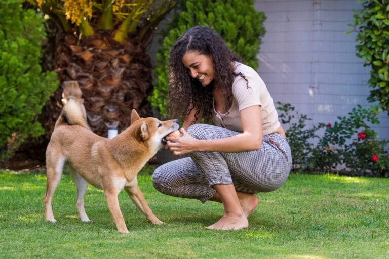 Woman playing with dog in yard