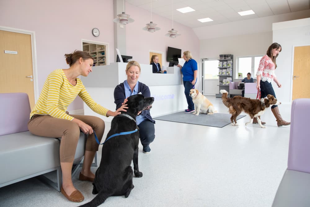 Woman waiting with dog in pet emergency room