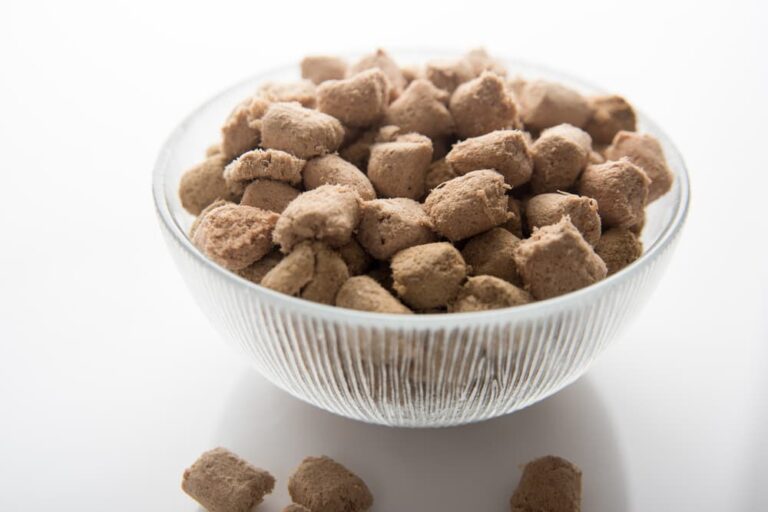 FreezeDried Dog Food The Pros and Cons Great Pet Care