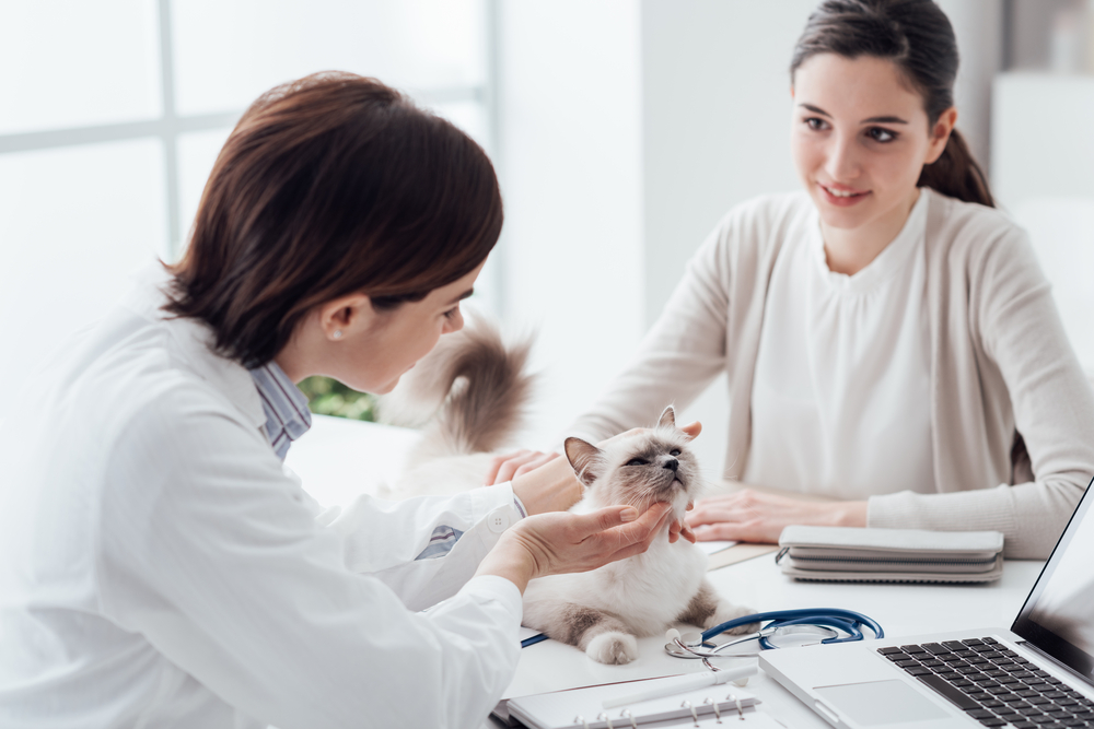 Woman paying for pet emergency