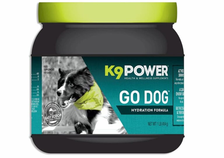 Can Dogs Drink Pedialyte? Great Pet Care