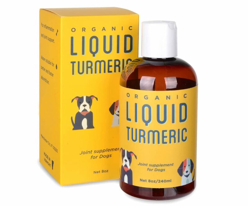 Turmeric for Dogs Benefits and Uses Great Pet Care
