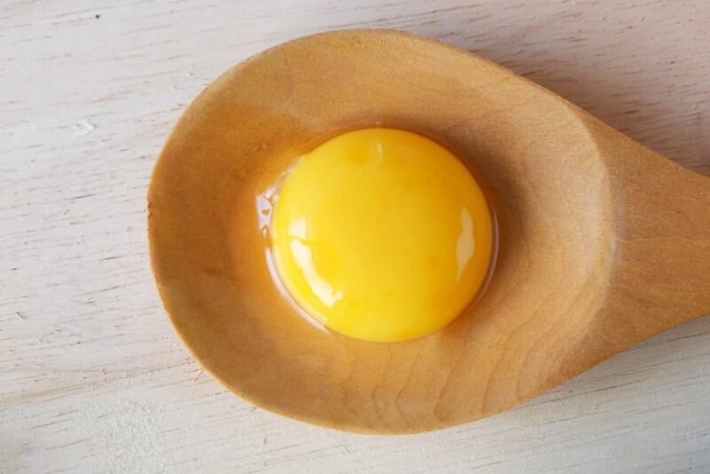 Can Dogs Eat Eggs? Great Pet Care