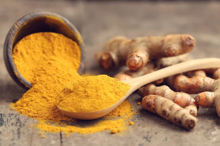 Turmeric for Dogs Benefits and Uses Great Pet Care