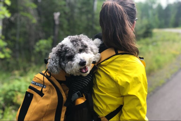 great pyrenees containment