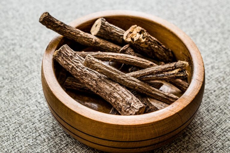Licorice Root for Dogs Benefits and Uses Great Pet Care