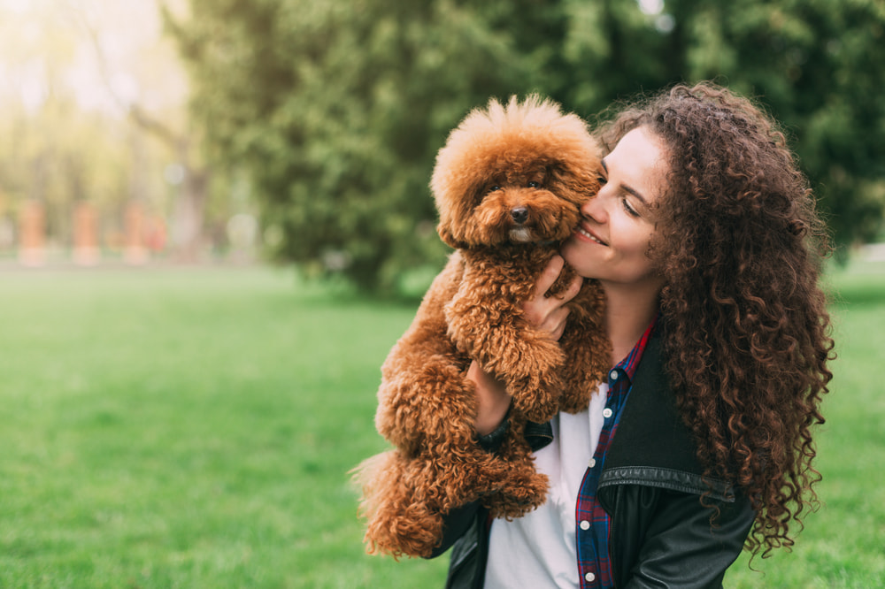 Woman holding adopted Poodle