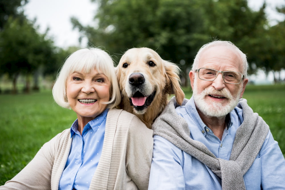 Older couple with adopted Golden Retriever