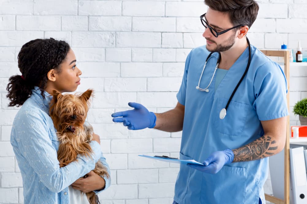 Woman holding dog talking to vet