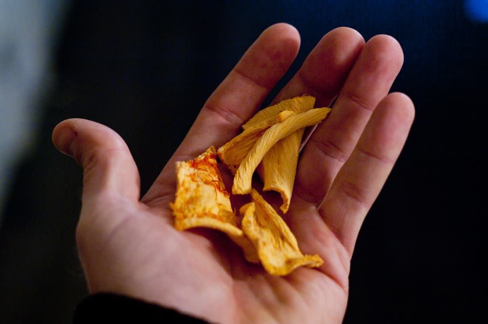 dehydrated pumpkin for dogs