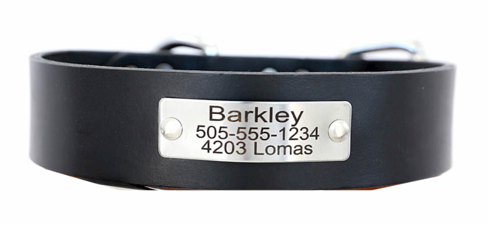 Engraved dog collar name