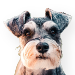 Can't find a name you like?