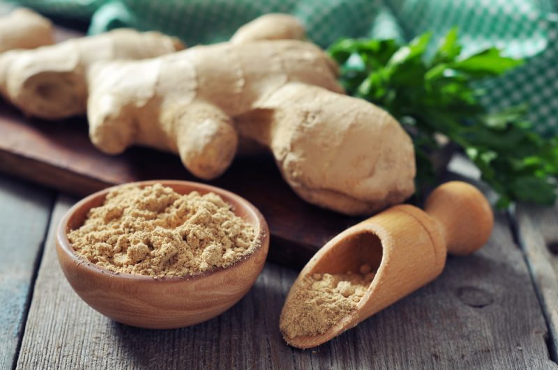Can Dogs Have Ginger Great Pet Care can-dogs-have-ginger-great-pet-care