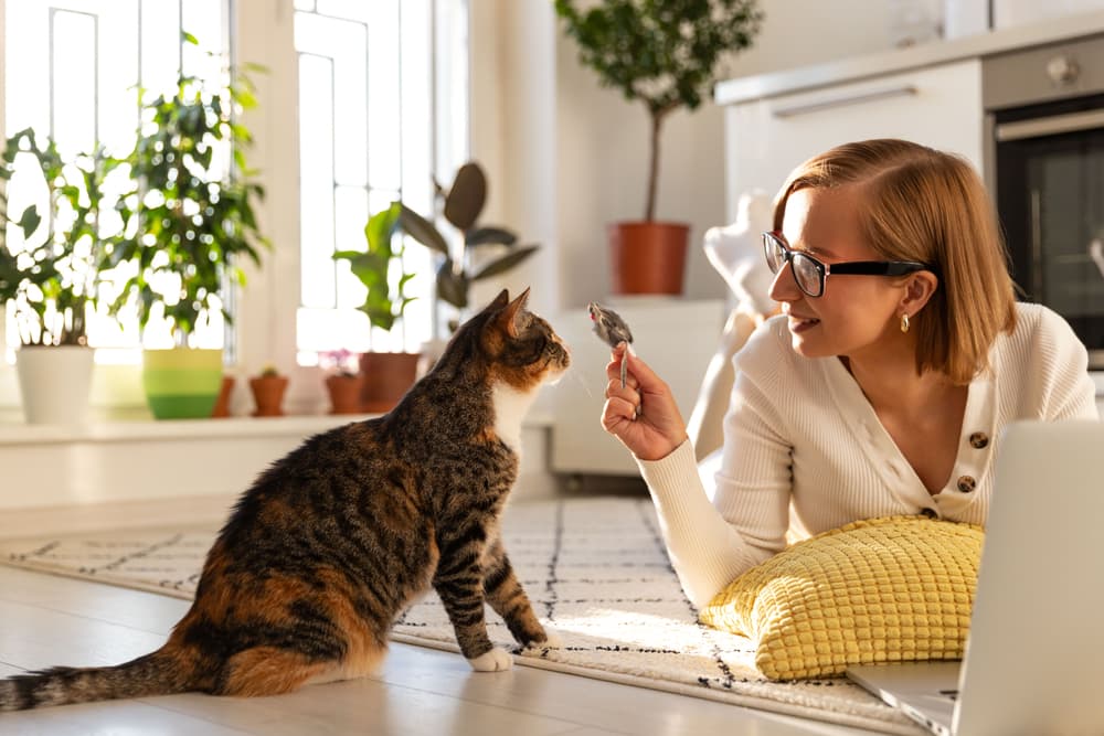 Woman playing with cat