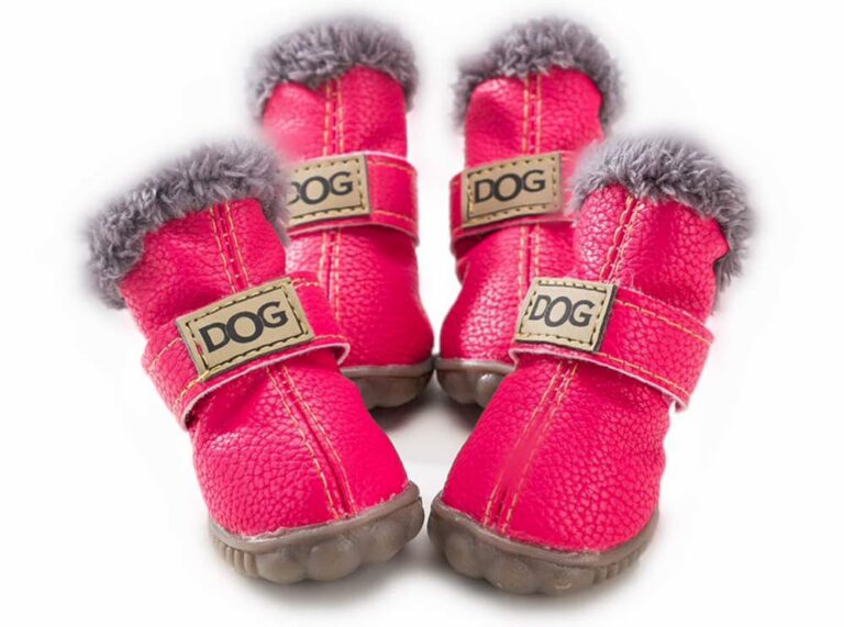6 Best Dog Boots for Every Occasion Great Pet Care