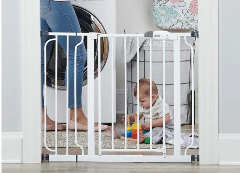 11 Best Dog Gates of 2022 Great Pet Care