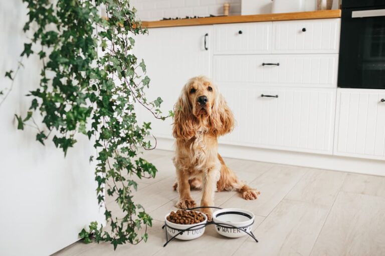 Dog in kitchen with plants