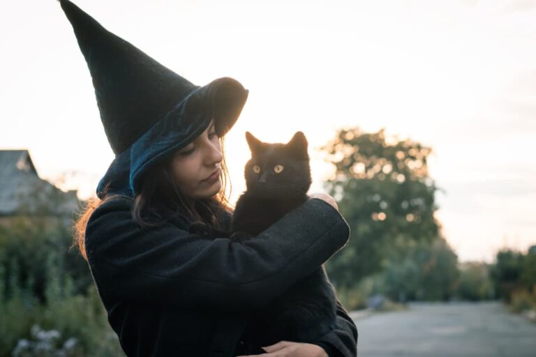 witch with a cat