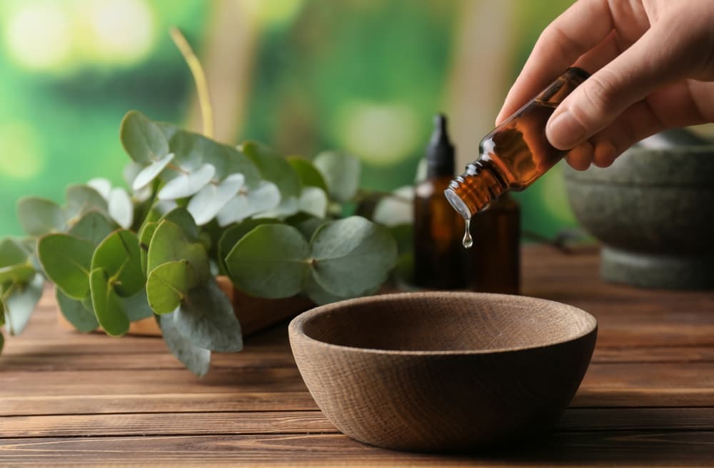 Eucalyptus oil in bowl