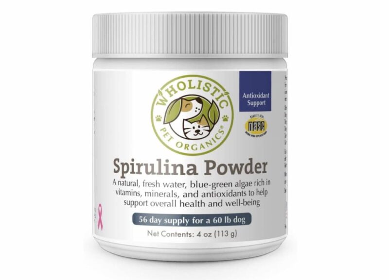 Spirulina for Dogs Benefits and Uses Great Pet Care