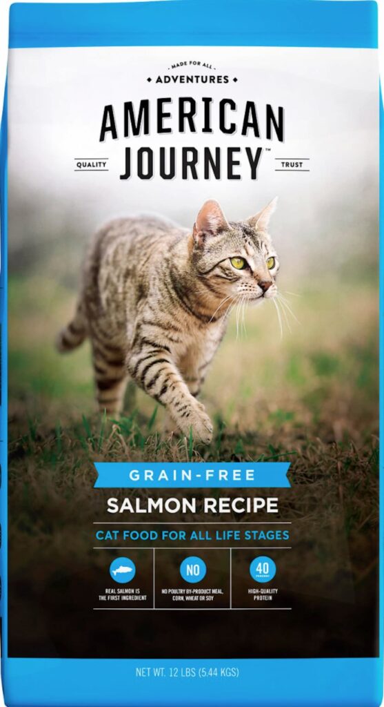 best cat food brands