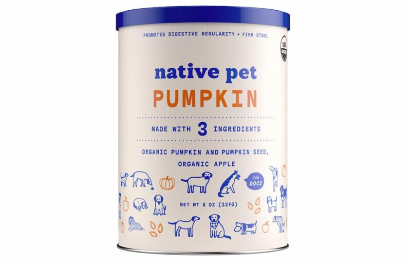 10 Great Sources of Fiber for Dogs Great Pet Care