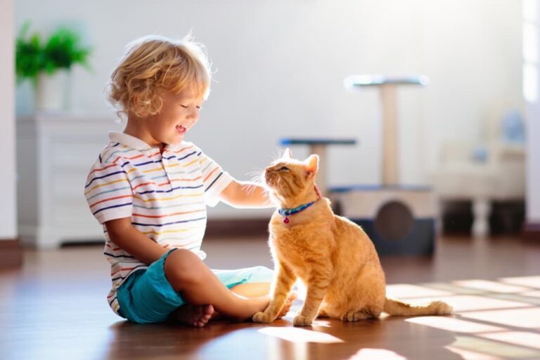Kids and Cats: 10 Tips to Promote Bonding | Great Pet Care