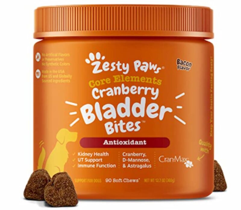 Apple Cider Vinegar for Dogs Benefits and Uses Great Pet Care