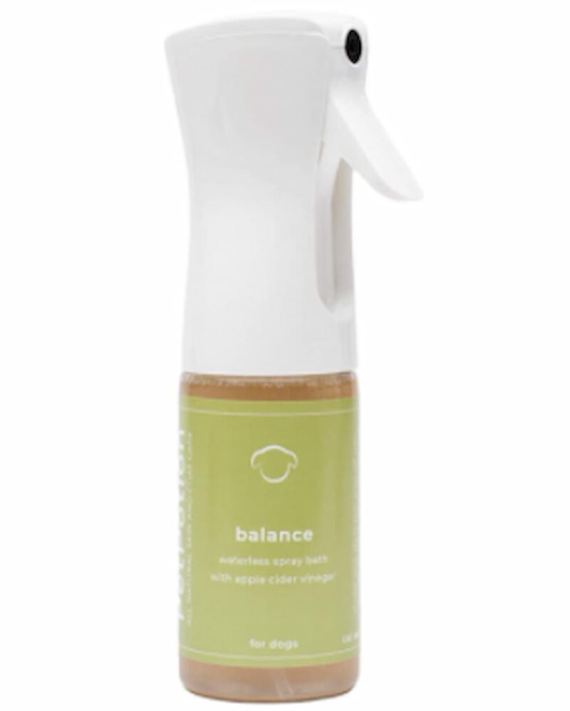 Apple Cider Vinegar for Dogs Benefits and Uses Great Pet Care