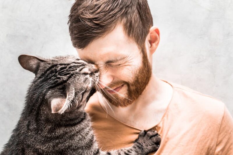 Why Is My Cat So Clingy? Great Pet Care