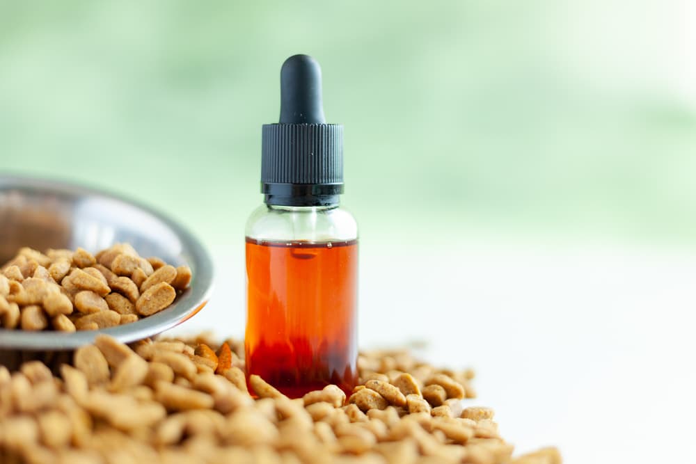 Best Pet CBD Brands to Know About Best Pet CBD Brands to Know About