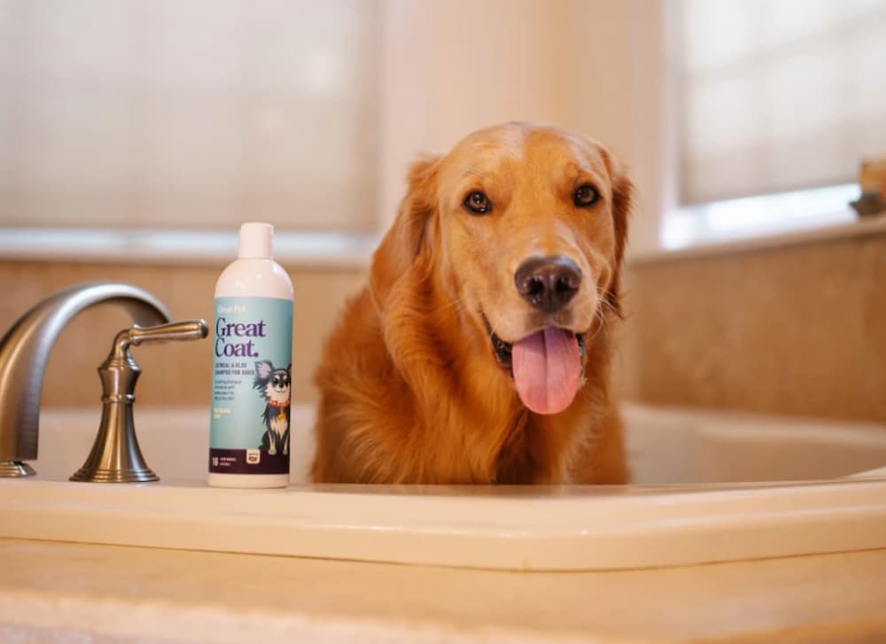 Great Pet® Great Coat Oatmeal and Aloe Dog Shampoo