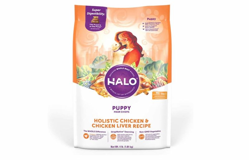 The Best Dog Food of 2023 Great Pet Care